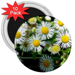 White Summer Flowers Oil Painting Art 3  Magnets (10 Pack) 