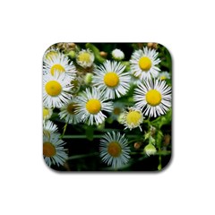 White Summer Flowers Oil Painting Art Rubber Coaster (square) 