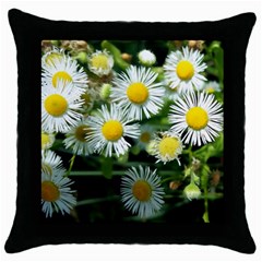 White Summer Flowers Oil Painting Art Throw Pillow Case (black)