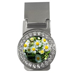 White Summer Flowers Oil Painting Art Money Clips (cz) 