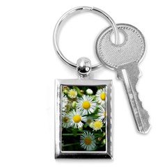 White Summer Flowers Oil Painting Art Key Chains (rectangle) 