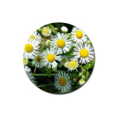 White Summer Flowers Oil Painting Art Magnet 3  (round)