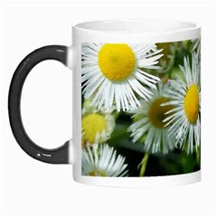 White Summer Flowers Oil Painting Art Morph Mugs