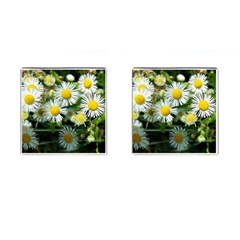 White Summer Flowers Oil Painting Art Cufflinks (square)