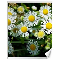 White Summer Flowers Oil Painting Art Canvas 12  X 16   by picsaspassion