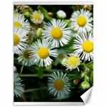 White summer flowers oil painting art Canvas 12  x 16   11.86 x15.41  Canvas - 1