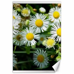 White Summer Flowers Oil Painting Art Canvas 20  X 30  