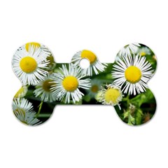 White Summer Flowers Oil Painting Art Dog Tag Bone (one Side)