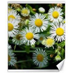 White Summer Flowers Oil Painting Art Canvas 11  X 14  