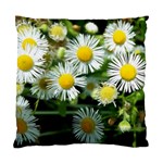 White summer flowers oil painting art Standard Cushion Case (Two Sides) Front