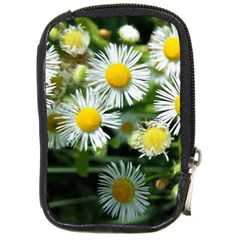 White Summer Flowers Oil Painting Art Compact Camera Cases by picsaspassion