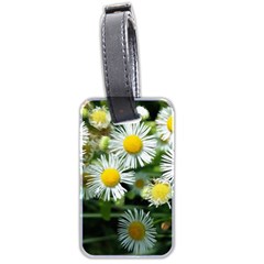 White Summer Flowers Oil Painting Art Luggage Tags (two Sides)