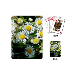 White Summer Flowers Oil Painting Art Playing Cards (mini)  by picsaspassion