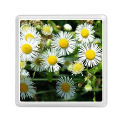 White Summer Flowers Oil Painting Art Memory Card Reader (square) 