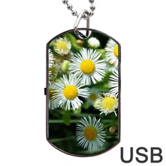 White Summer Flowers Oil Painting Art Dog Tag Usb Flash (one Side)