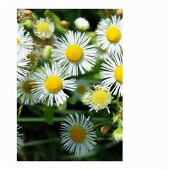 White Summer Flowers Oil Painting Art Small Garden Flag (two Sides)