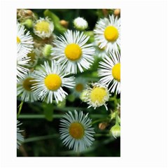 White Summer Flowers Oil Painting Art Large Garden Flag (two Sides)