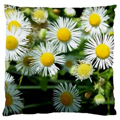 White Summer Flowers Oil Painting Art Large Cushion Case (two Sides)