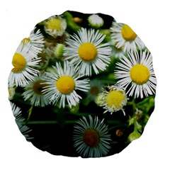 White Summer Flowers Oil Painting Art Large 18  Premium Round Cushions