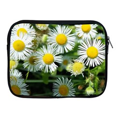 White Summer Flowers Oil Painting Art Apple Ipad 2/3/4 Zipper Cases