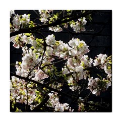 Japanese Cherry Blossom Tile Coasters