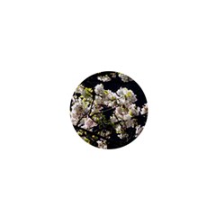 Japanese Cherry Blossom 1  Mini Magnets by picsaspassion