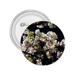 Japanese Cherry Blossom 2 25  Buttons