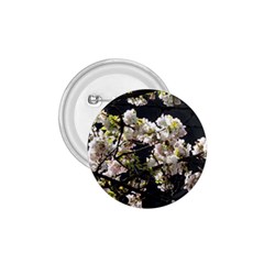 Japanese Cherry Blossom 1 75  Buttons