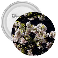 Japanese Cherry Blossom 3  Buttons