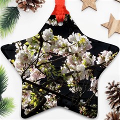 Japanese Cherry Blossom Ornament (star) 