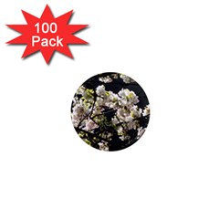 Japanese Cherry Blossom 1  Mini Magnets (100 Pack) 