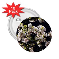 Japanese Cherry Blossom 2 25  Buttons (10 Pack) 