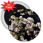 Japanese cherry blossom 3  Magnets (10 pack)  Front