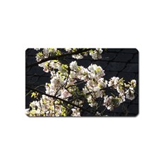 Japanese Cherry Blossom Magnet (name Card)