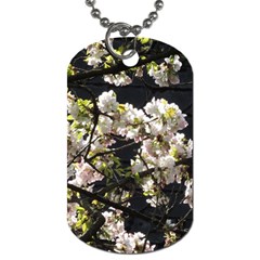 Japanese Cherry Blossom Dog Tag (one Side) by picsaspassion