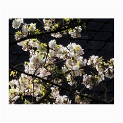 Japanese Cherry Blossom Small Glasses Cloth