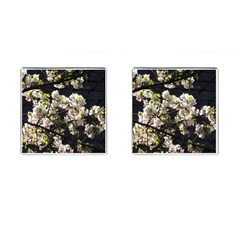 Japanese Cherry Blossom Cufflinks (square)