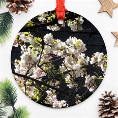 Japanese Cherry Blossom Round Ornament (two Sides) 