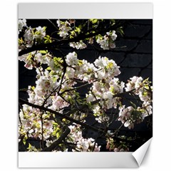 Japanese Cherry Blossom Canvas 16  X 20   by picsaspassion