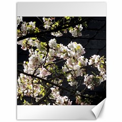 Japanese Cherry Blossom Canvas 36  X 48  