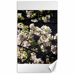 Japanese Cherry Blossom Canvas 40  X 72  