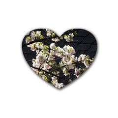 Japanese Cherry Blossom Heart Coaster (4 Pack) 