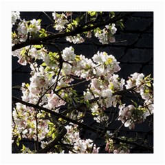 Japanese Cherry Blossom Medium Glasses Cloth