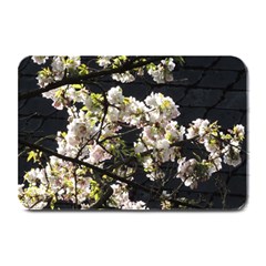 Japanese Cherry Blossom Plate Mats