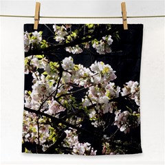 Japanese Cherry Blossom Face Towel