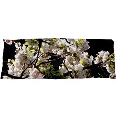 Japanese Cherry Blossom Samsung Galaxy Tab 7  P1000 Hardshell Case 