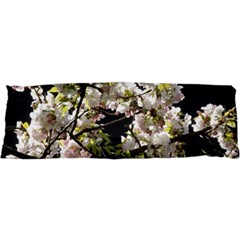 Japanese Cherry Blossom Samsung Galaxy S I9008 Hardshell Case