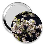 Japanese cherry blossom 3  Handbag Mirrors Front