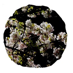 Japanese Cherry Blossom Large 18  Premium Round Cushions by picsaspassion