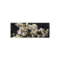 Japanese Cherry Blossom Satin Scarf (oblong)